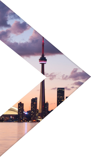 site logo